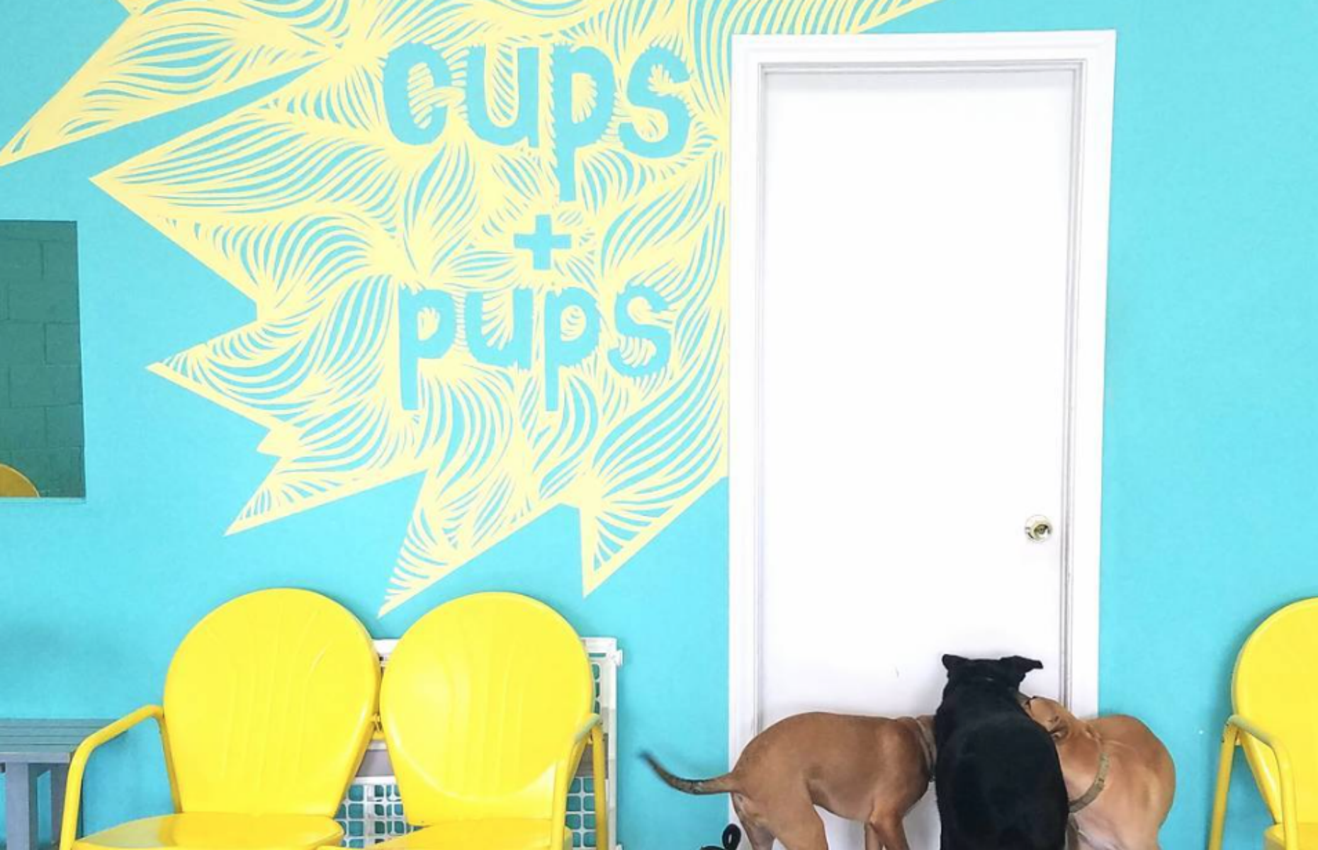 The Dog Cafe LA, US